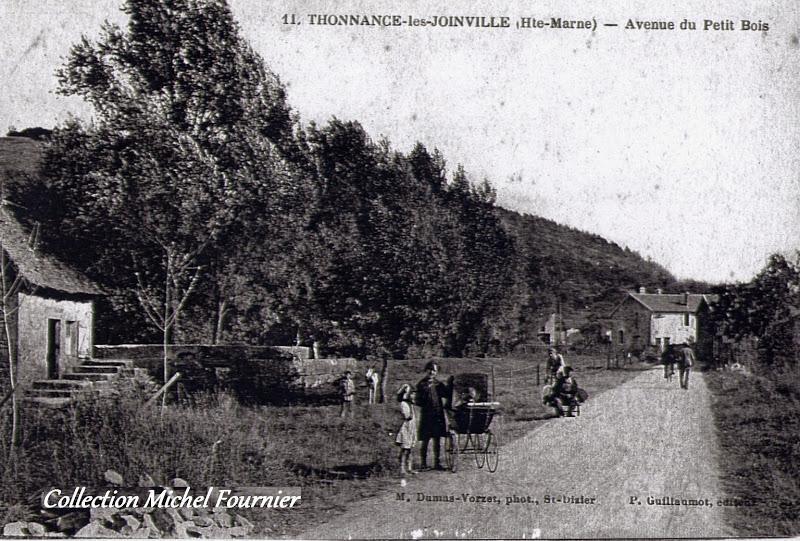 הוילה Thonnance-lès-Joinville Le Bocard מראה חיצוני תמונה
